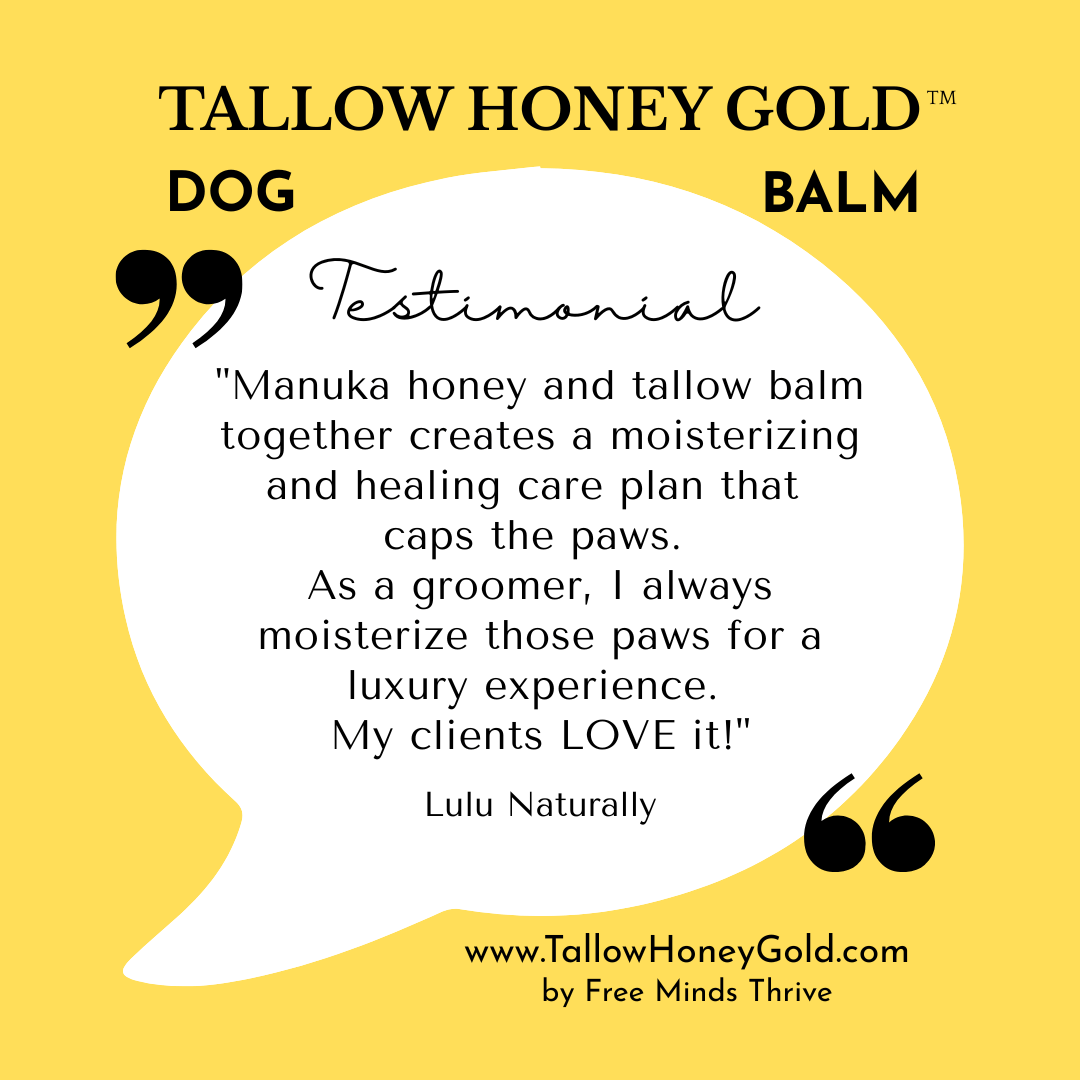 Dog Paw & Nose Balm 2 oz. (Tallow Honey Gold) - Tallow Honey Gold (Free Minds Thrive, LLC)