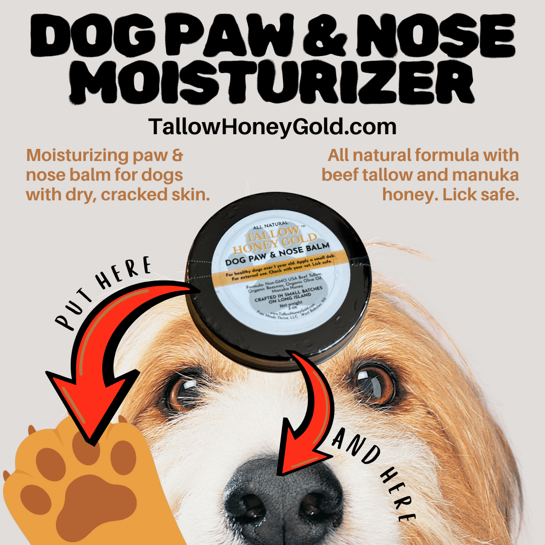 Natural Dog Balm (Tallow Moisturizer for Paws and Nose) 2 oz. - Tallow Honey Gold (Free Minds Thrive, LLC)